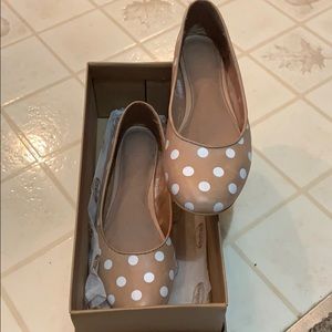 Cute polka dot flat